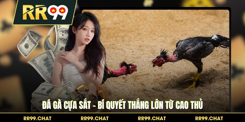 Đá Gà Cựa Sắt